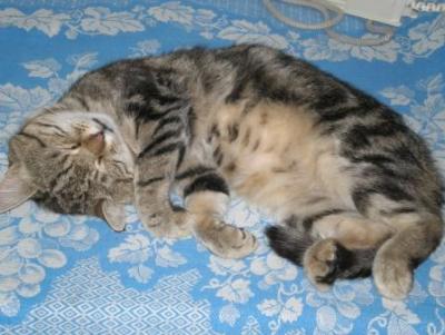 Прикрепленное изображение: P8080112.JPG